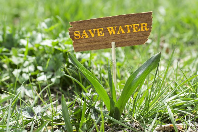 How to save water in the garden?