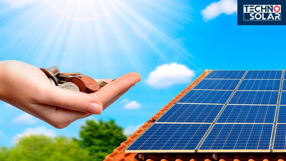 How Solar Panels Can Be Affected by Birds – The Truth About the Litter 