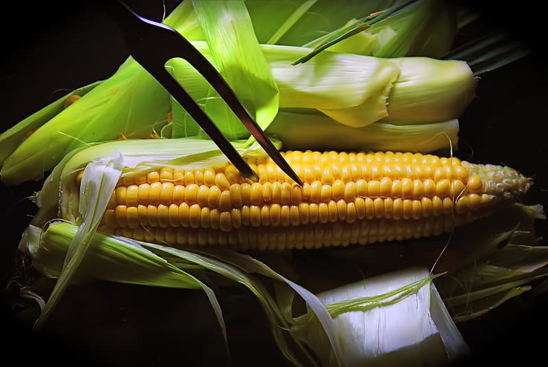 Corn’s Health and Nutrition Benefits