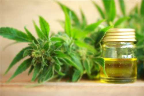 Not Known Details About CBD Oil For Anxiety