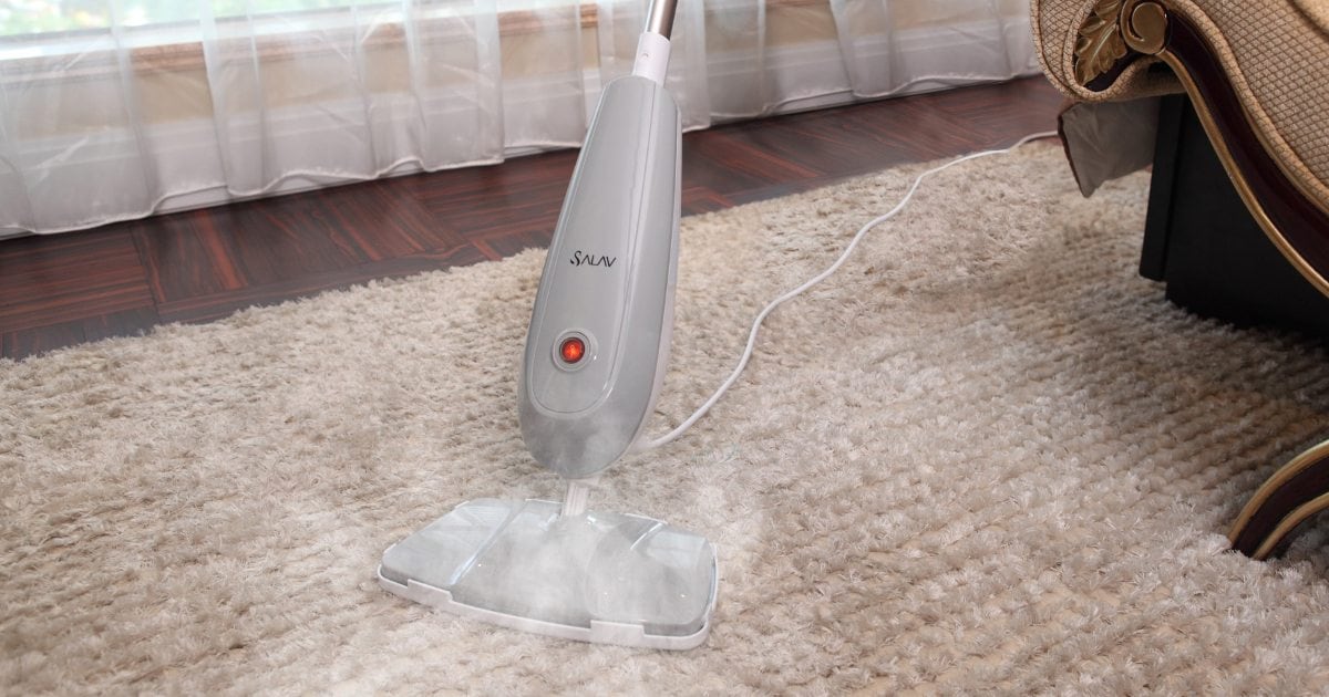 Benefits of Using a Carpet Steam Cleaner