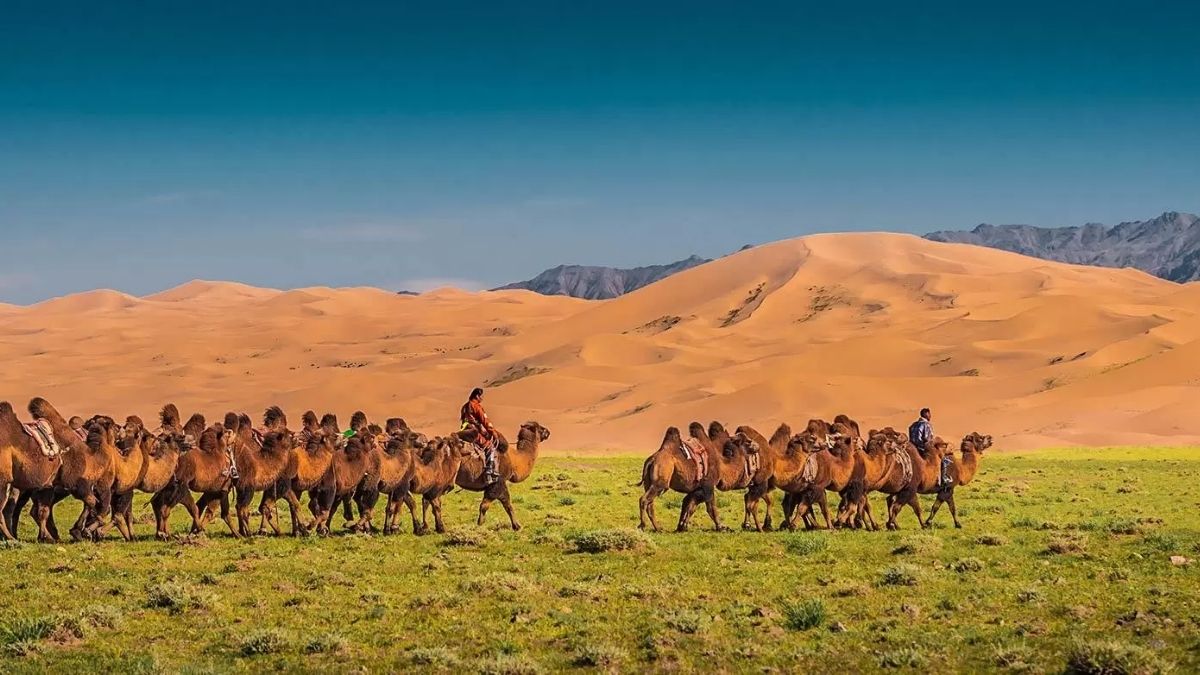 travelling to Mongolia