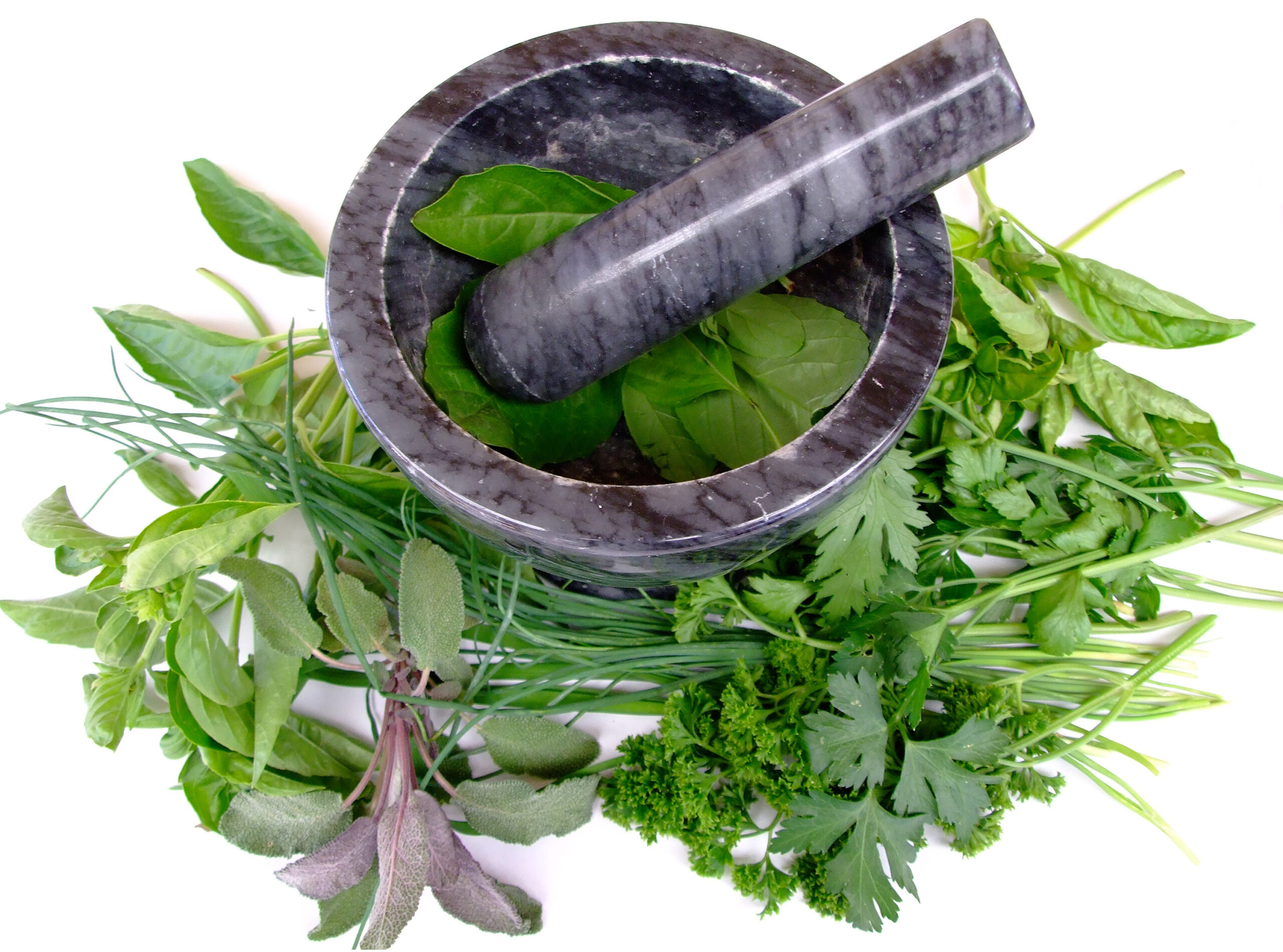 The 5 Best Herbs for Blood Purification