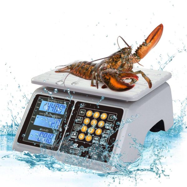 Top 5 Digital Kitchen Scales For Your Seafood Business