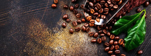 Best Coffee Beans Online – The Guide You Need To Know