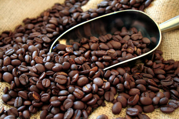 The Best Coffee Beans Online To Satisfy Your Caffeine Needs
