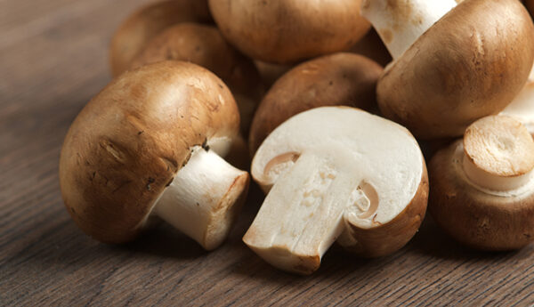 Mushroom Market Share, Price, Demand, Growth And Analysis 2022-27