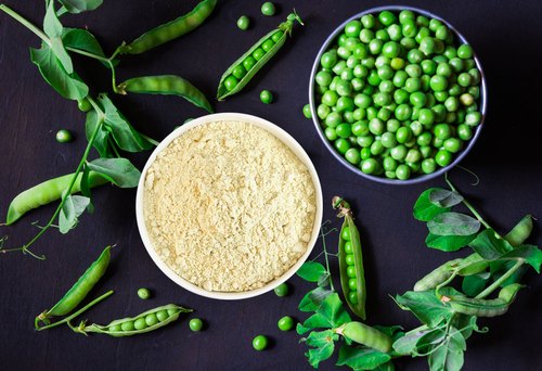 Pea Protein Market Share, Size, Growth Analysis, And Report 2022-27