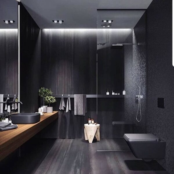 Black Toilet: Current Design Trends￼