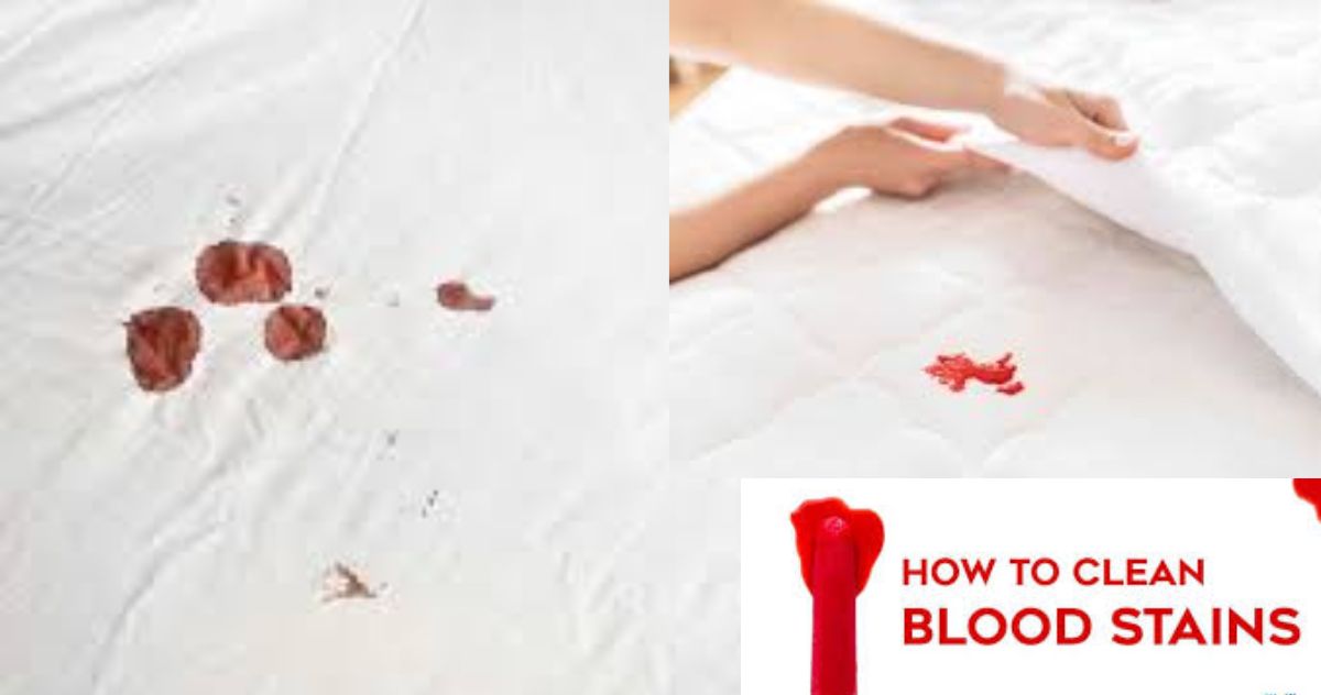 how to get blood out of a mattress (2)