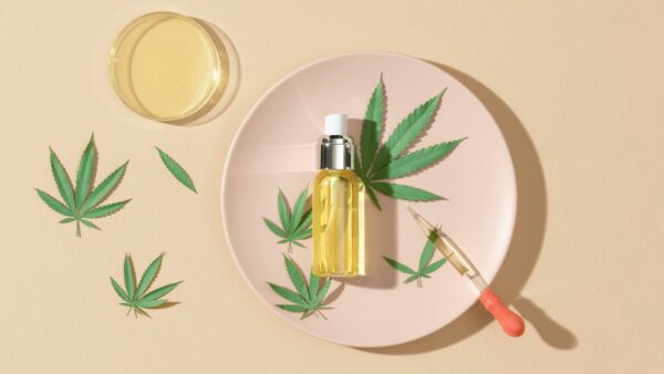 Not Known Details About CBD Oil for Anxiety