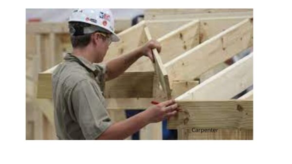 Why is the Importance of Carpenter Skills So Important?