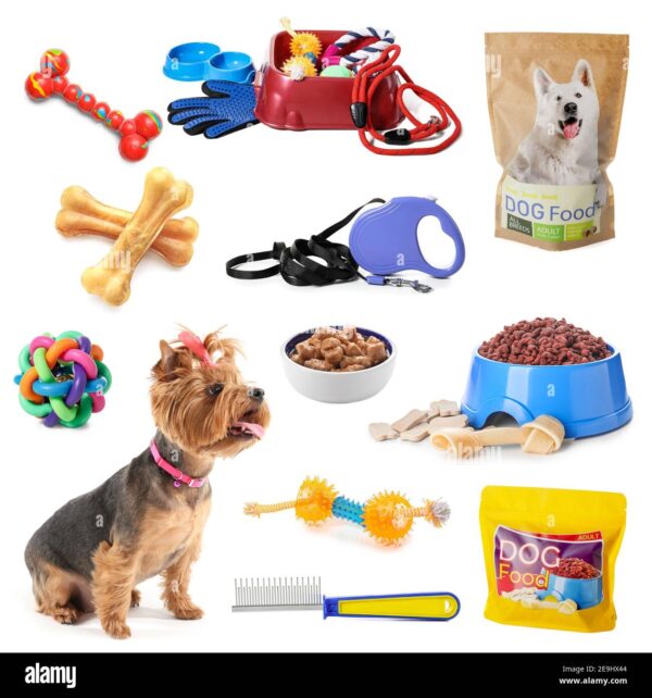 Pets Accessories on Sale: How to Find the Best Deals