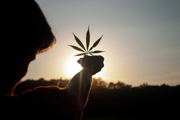 3 Ways To Use Cannabis in Your Everyday Life