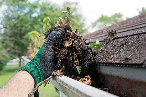 gutter cleaning companies in Boston MA