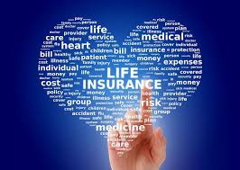 What is variable universal life insurance?