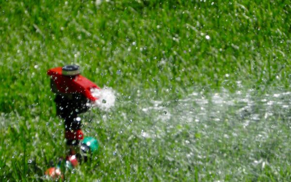 Everything you Need to Know About Efficient Lawn Watering