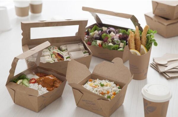 Different Types and Importance of Frozen Food Boxes For Small Business