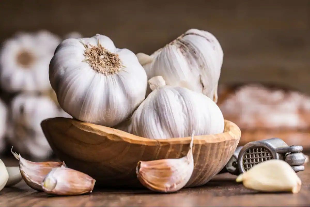 These Are Some of The Health Benefits of Garlic
