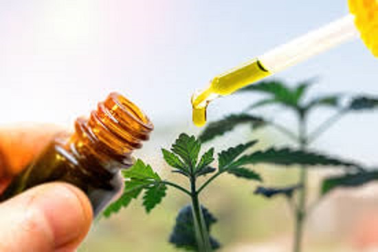 The Best CBD Oil for Energy And Focus