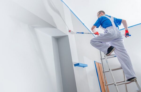 A Guide To Various Types Of House Painting
