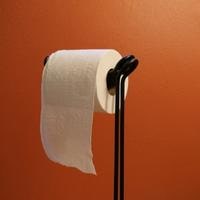 How to make a free standing toilet paper holder