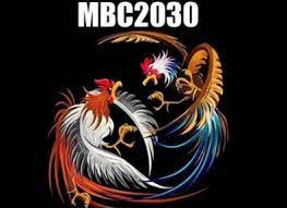 MBC2030