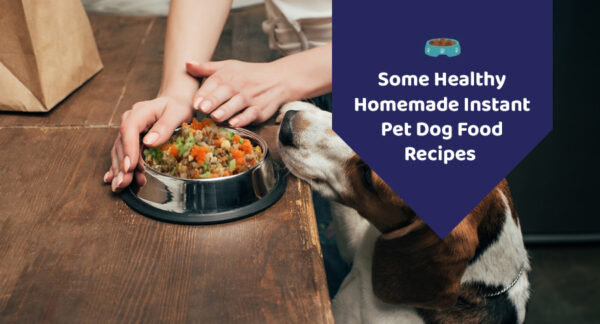 Some Healthy Homemade Instant Pet Dog Food Recipes