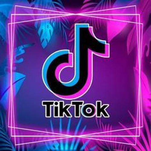What is Tiktok mashup?￼￼