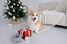 Gift for dog lovers asobubottle.com