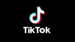 Trollishly: How To Credibly Implement TikTok Into Your Startup?
