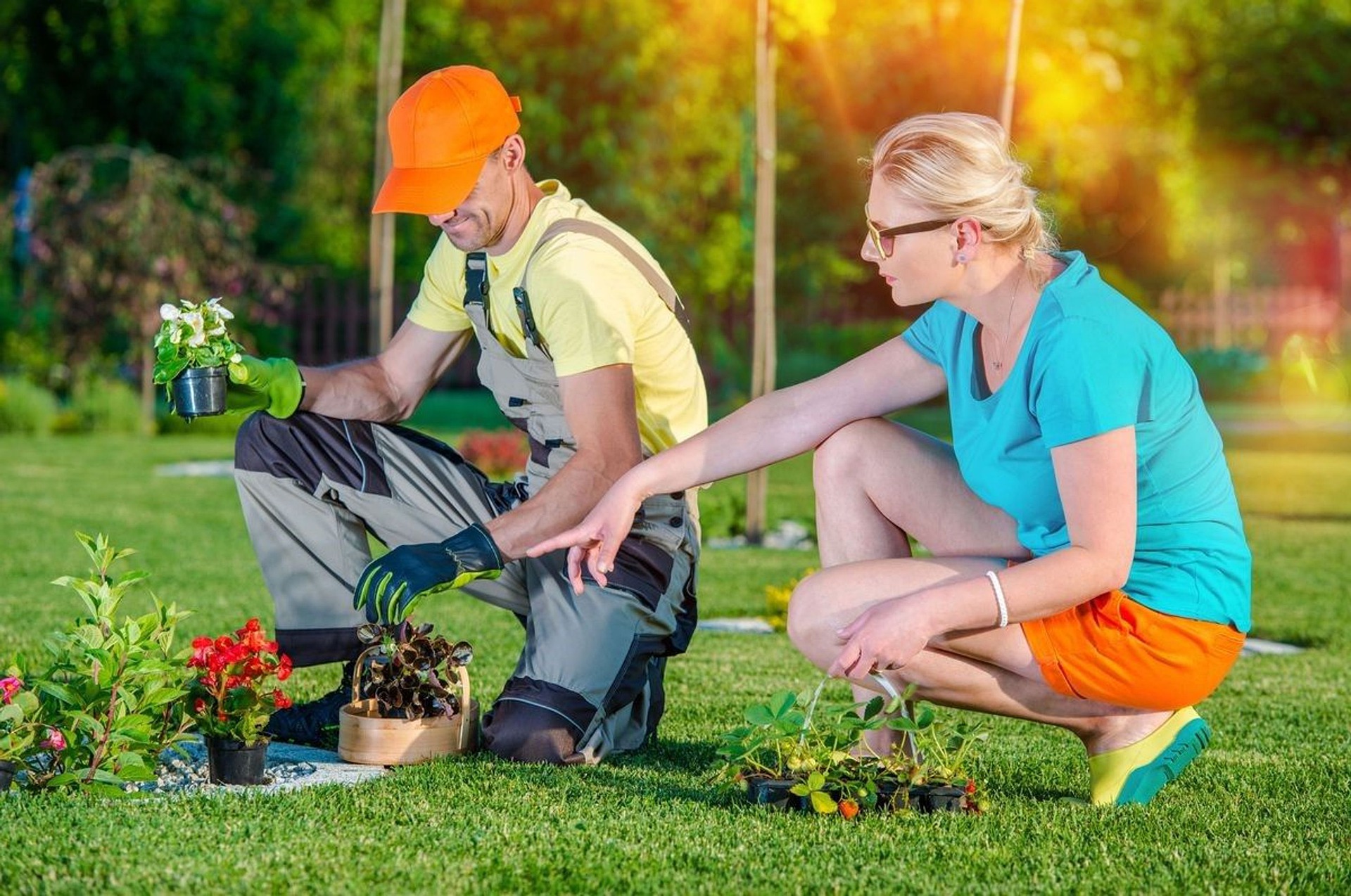 Top 5 Best Lawn Fertilizers In 2022