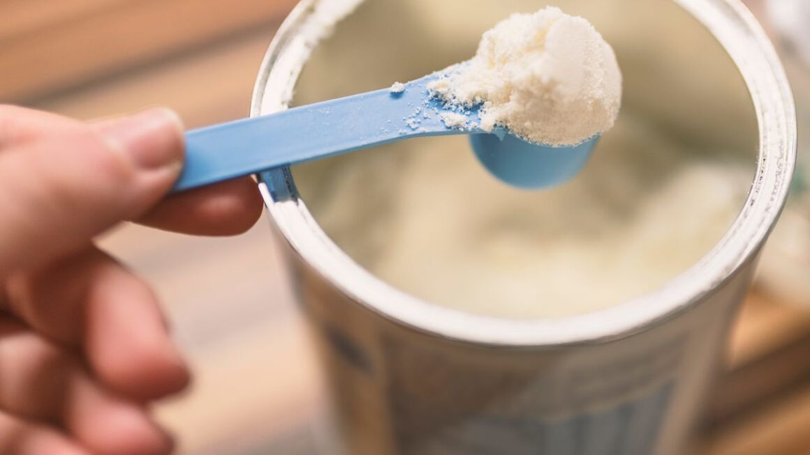 Best Quality Powder Milk Review - Top 10 Brands