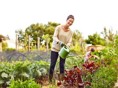 10 Health Benefits of Gardening That Helps Your Mind and Body