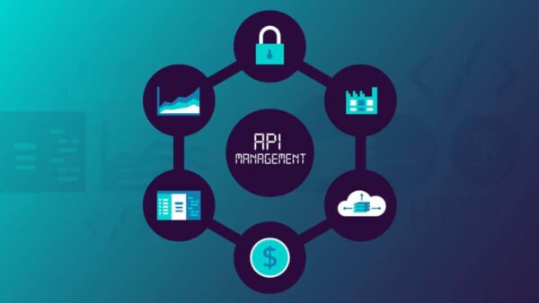 What Is An API Management Platform?