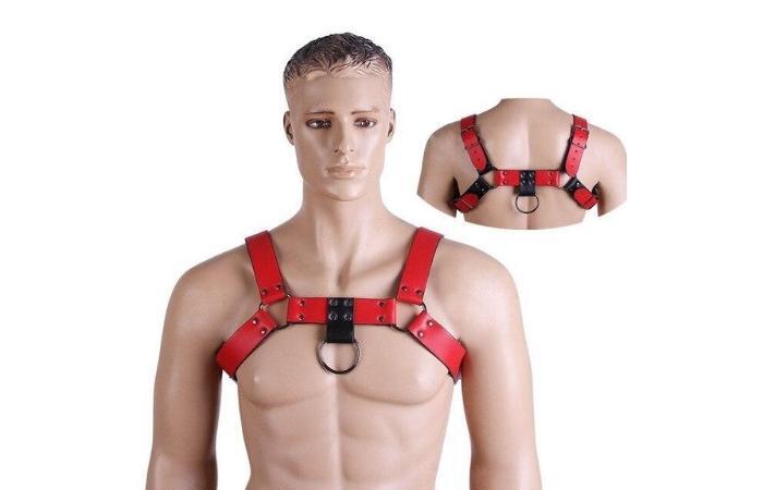 BDSM chest harness