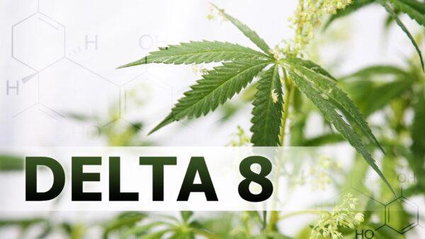 5 Pros & Cons of Delta 8 Products (Vapes, Flowers, Edibles & Cartridges)