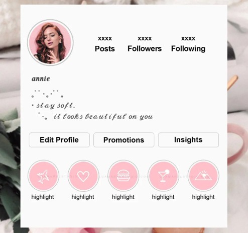 Instagram Biography Ideas and Tricks