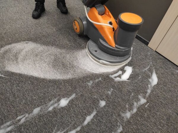 How Much is Carpet Cleaning