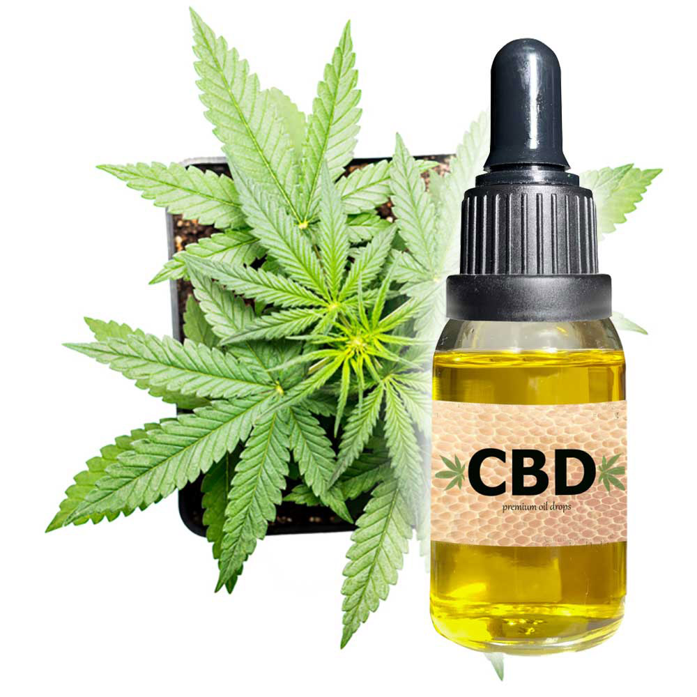 Buyers Guide For Choosing the Best CBD Oil for Weight Loss