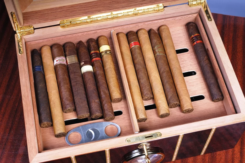 Pro Tips For Selecting A Right  Cigar Humidor For Your Cigar