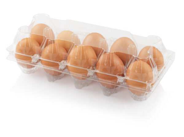 What to know about egg plastic trays?