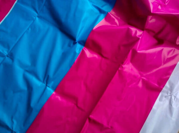 PVC Tarpaulin Material Suppliers: Everything You Need to Know