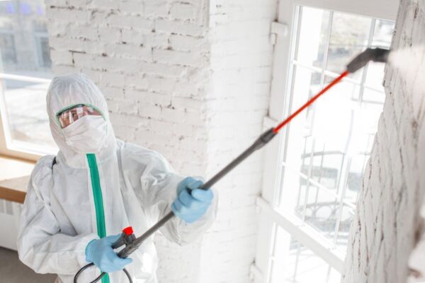 Best Mold Inspection Services