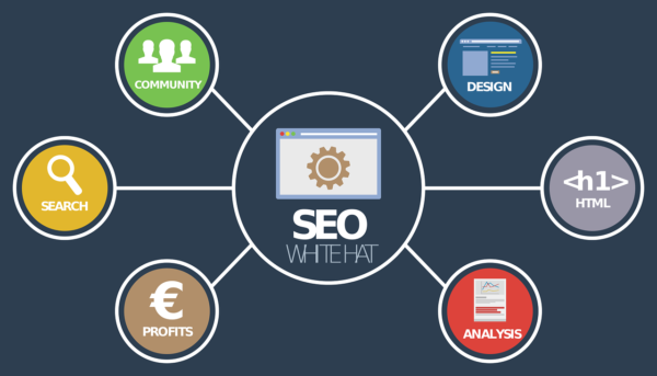 Seo services: The 7 Facts To Know About Seo services primes