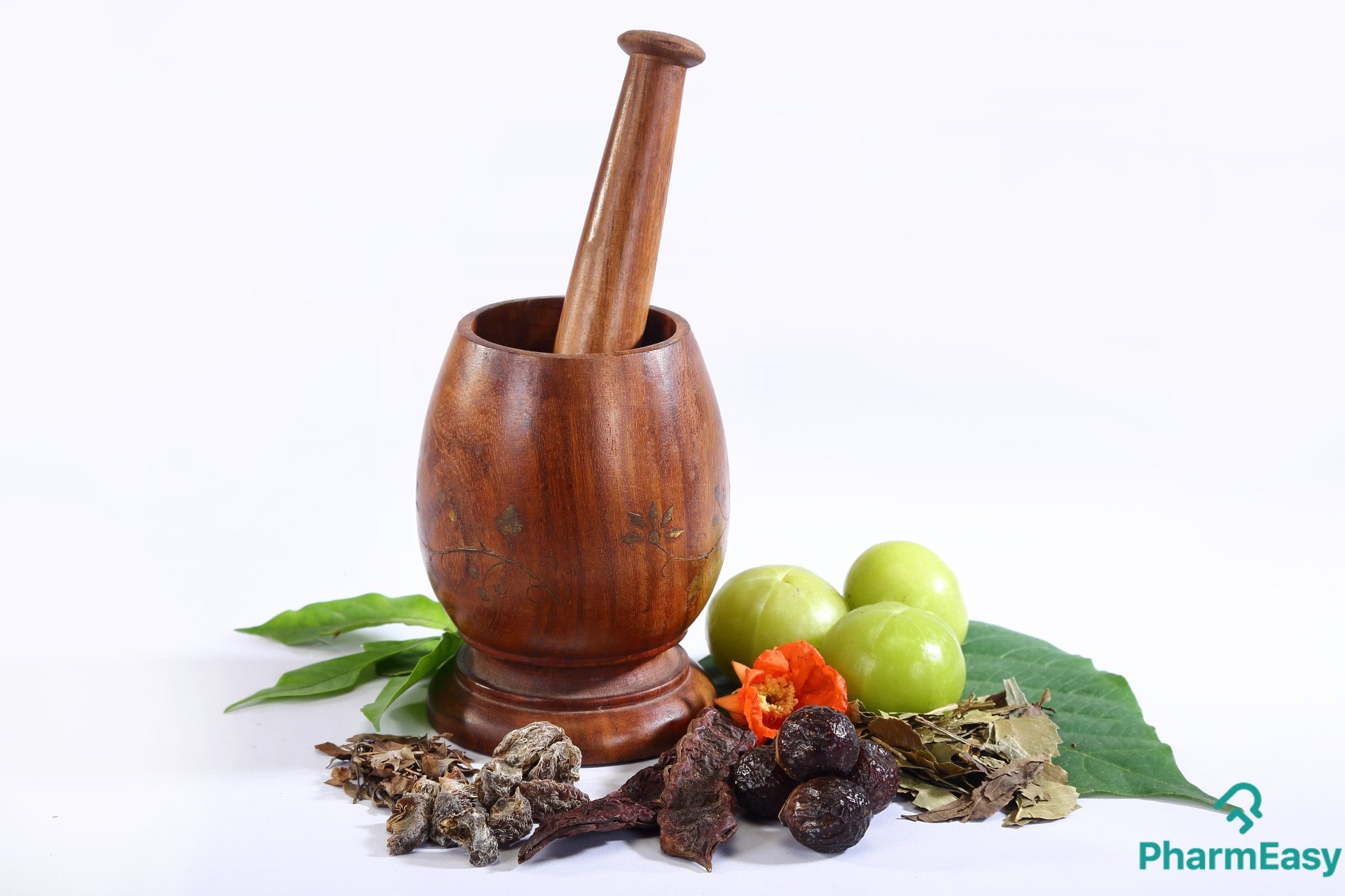 Popular Ayurvedic Herbs and Their Potential Benefits
