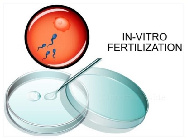 Best IVF Centre In Lahore