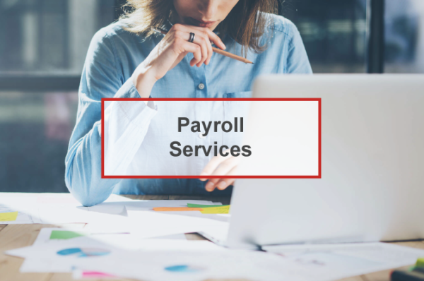 Payroll Services: 2022 Average Payroll Services Cost