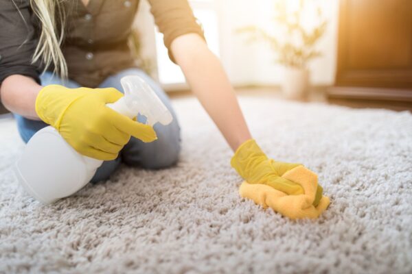 How to Use Carpet Cleaning Service to Update Our Home