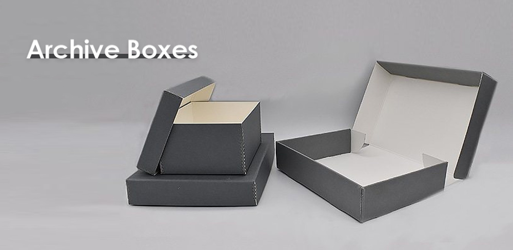 archive boxes with dividers.